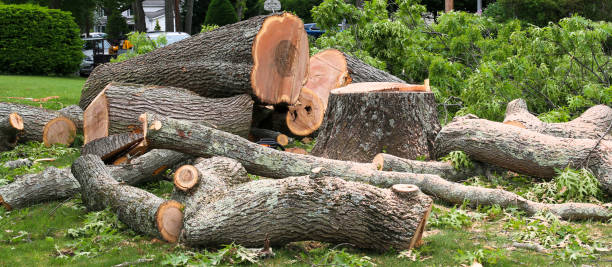  , NV Tree Services Pros